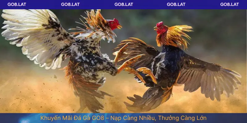 Khuyến Mãi Đá Gà GO8 – Nạp Càng Nhiều, Thưởng Càng Lớn